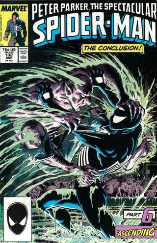 Peter Parker, The Spectacular Spider-Man #132