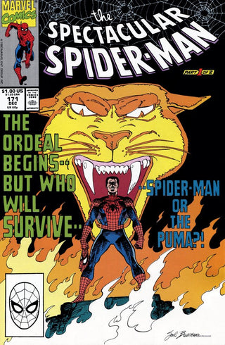 Peter Parker, The Spectacular Spider-Man #171