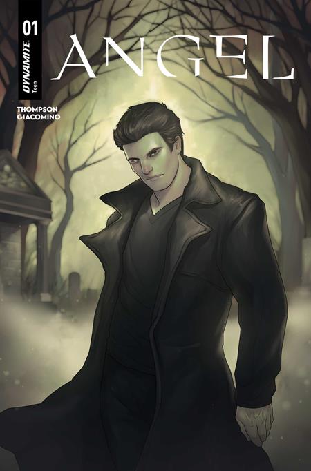 Angel #1 Cvr D Meghan Hetrick Var - Cover
