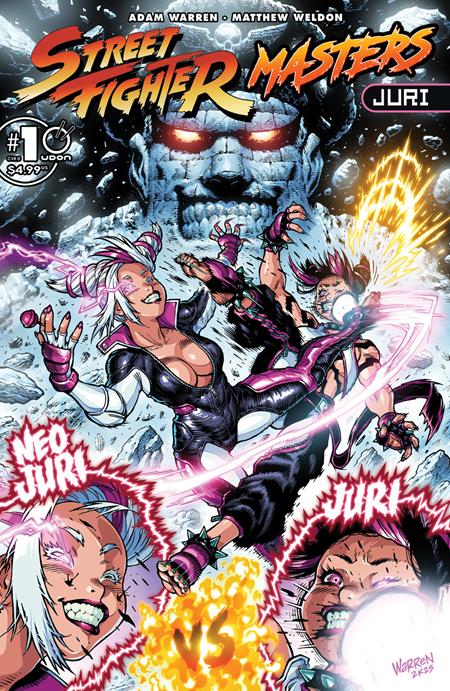 Street Fighter Masters Juri #1 (One Shot) Cvr D Inc 1:5 Adam Warren Var - Cover