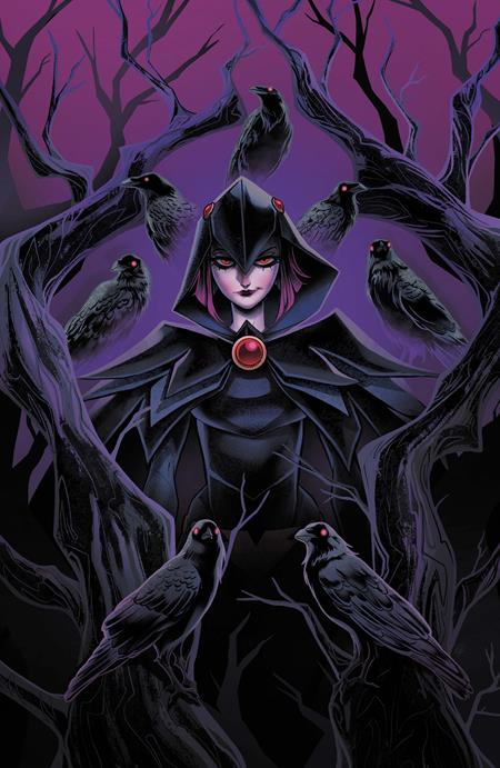 DCS QUOTH THE RAVEN WHATEVER #1 (ONE SHOT) CVR A SWEENEY BOO — Cover