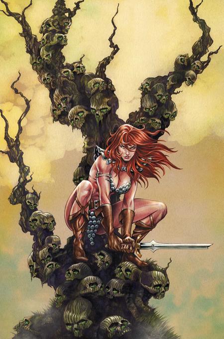 RED SONJA SHE DEVIL WITH A SWORD #5 CVR I INC1:10 MIKE ROOTH VIRGIN VAR — Cover