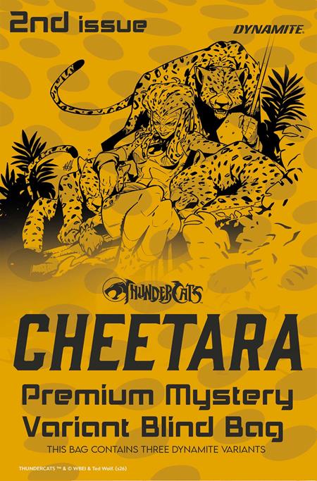 THUNDERCATS CHEETARA #2 CVR H PREMIUM MYSTERY BLIND BAG VAR — Cover