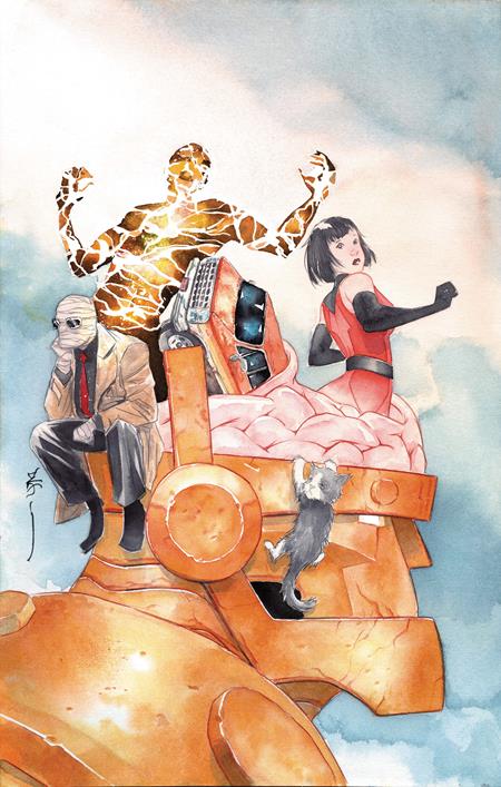 DOOM PATROL #3 CVR C DUSTIN NGUYEN CARD STOCK VAR — Cover