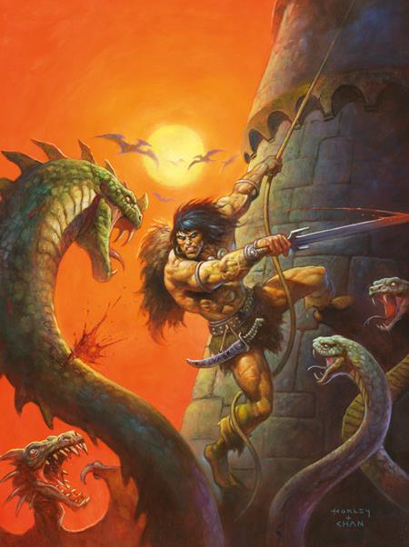 SAVAGE SWORD OF CONAN #17 CVR C ALEX HORLEY VIRGIN CARDSTOCK VAR (MR) — Cover