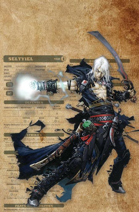 PATHFINDER VAMPIRELLA BLADE OF DARKNESS #3 CVR G INC 1:15 WAYNE REYNOLDS CHARACTER SHEET VIRGIN VAR — Cover