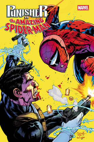Punisher Vs. Spider-Man #2