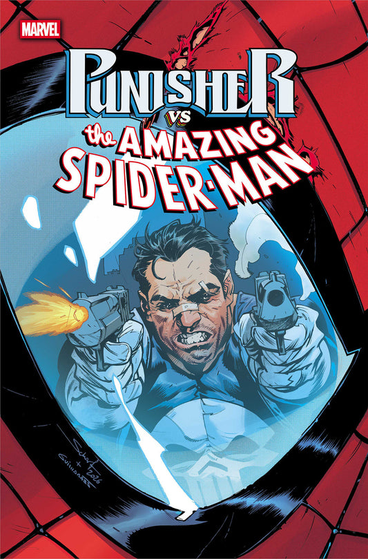 Punisher Vs. Spider-Man #5 — Cover