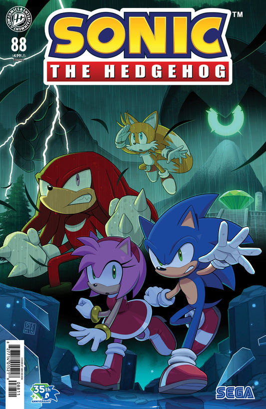 Sonic the Hedgehog #88 Cover A (Kim) - Cover