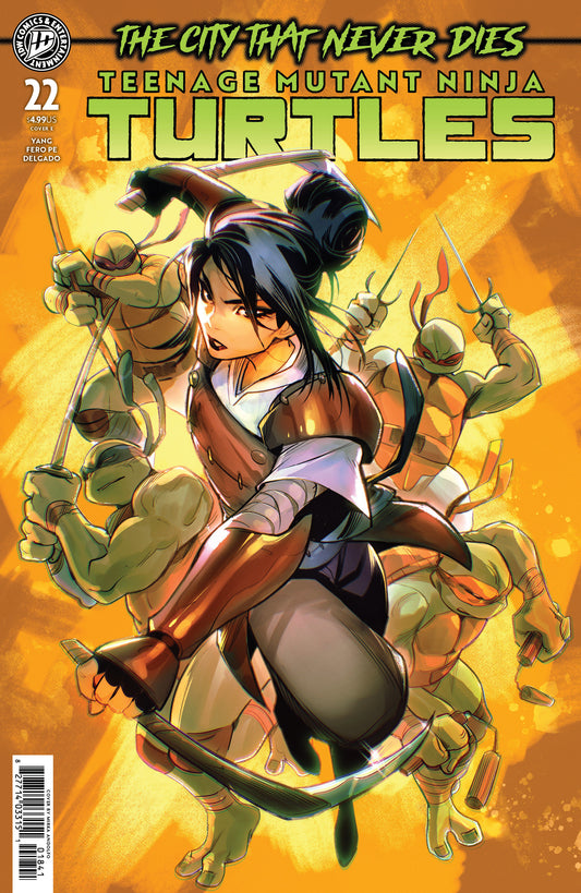 Teenage Mutant Ninja Turtles #22 Variant E (Andolfo) — Cover
