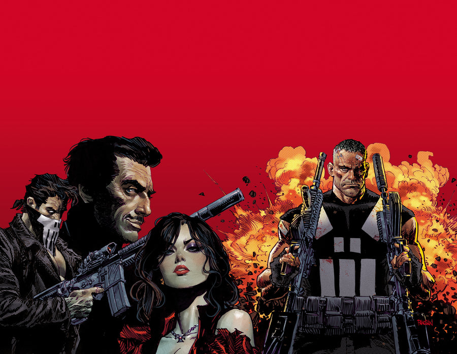 Marvel Knights: Punisher - Cover