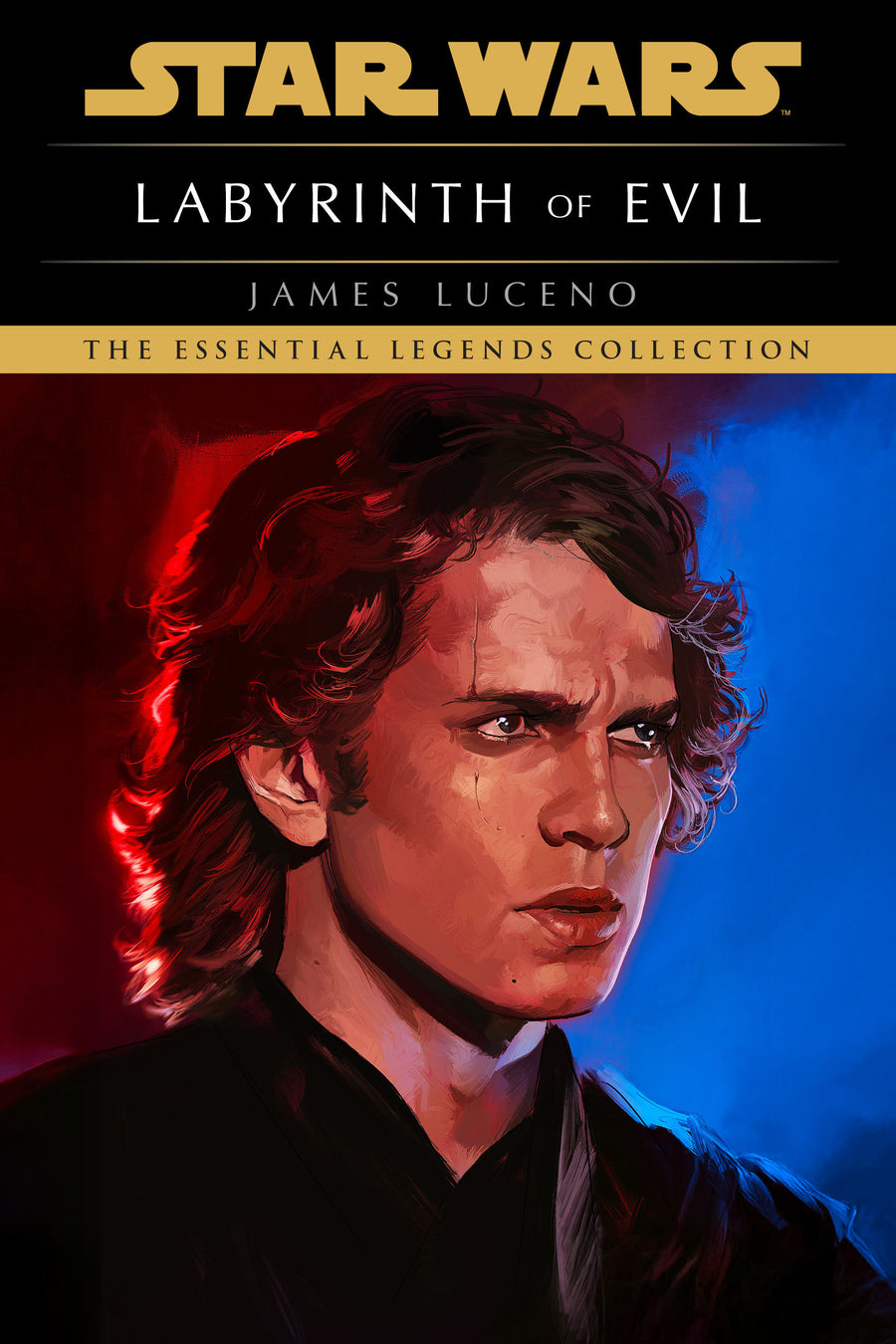 Labyrinth of Evil: Star Wars Legends - Cover