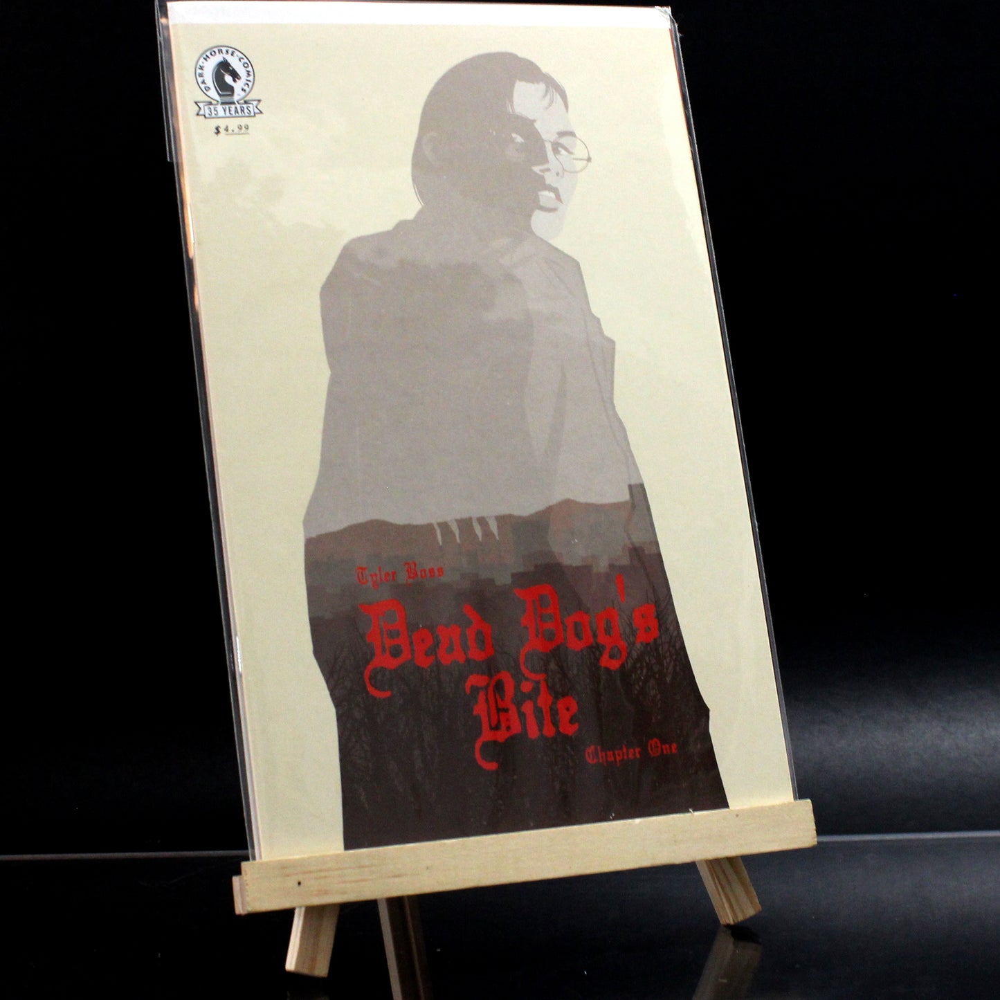 Comic Book Cover