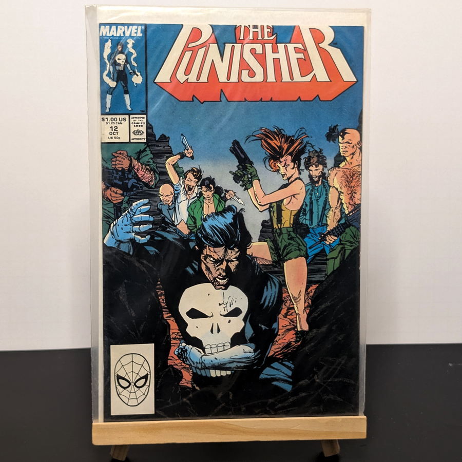 The Punisher #12 - Cover