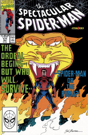 Peter Parker, The Spectacular Spider-Man #171